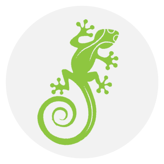 The Gecko logo: a green Gecko.